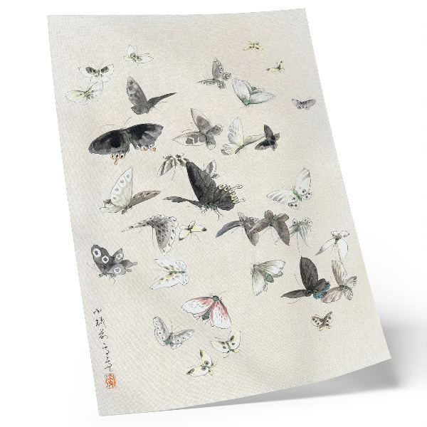 Poster na stenu Hokusaiho Motýle a mole