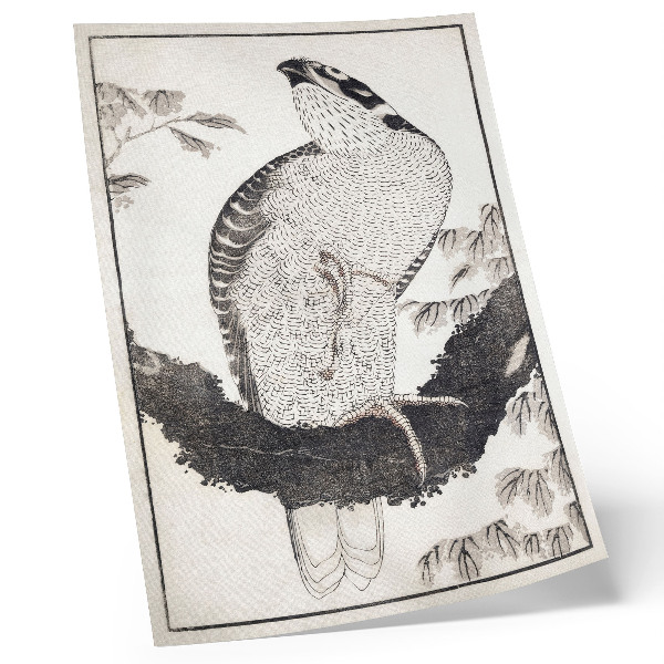 Poster na stenu Vták z Albumu náčrtov od Kacušiky Hokusaiho (1814), stará japonská drevotlač