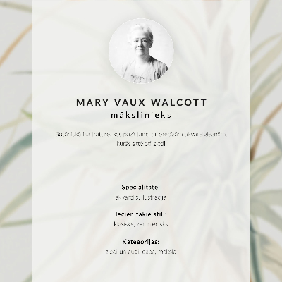 Plagát Divoký ananás (Tillandsia fasciculata) (1921) od Mary Vaux Walcott