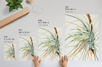 Plagát Divoký ananás (Tillandsia fasciculata) (1921) od Mary Vaux Walcott