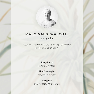 Plagát Divoký ananás (Tillandsia fasciculata) (1921) od Mary Vaux Walcott