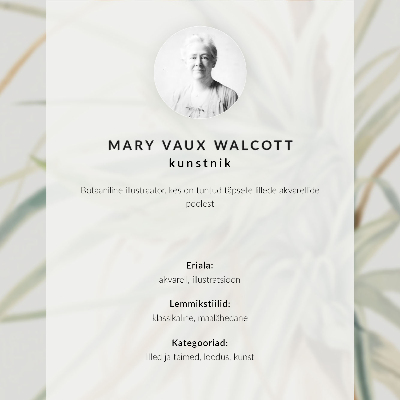 Plagát Divoký ananás (Tillandsia fasciculata) (1921) od Mary Vaux Walcott