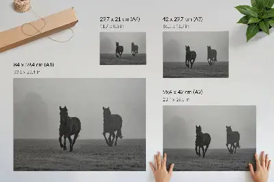 Plagát bežiace kone v jemnej hmle v pokojnom priestore