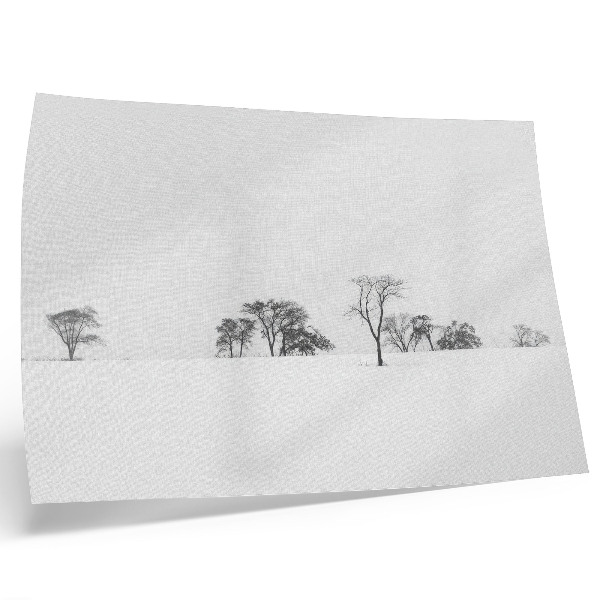 Plagát do izby Minimalistická scenéria zima stromy pokoj