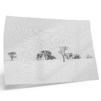 Plagát do izby Minimalistická scenéria zima stromy pokoj