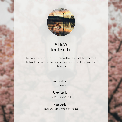Retro plagát Západ slnka nad pokojným morom, pohyb lode