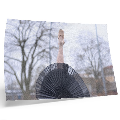 Poster Balet, jemnosť, harmónia, lokálna atmosféra