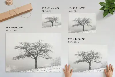 Plagát osamelý strom v zime v minimalistickom štýle pre pokoj a harmóniu