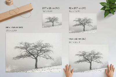 Poster Osamelý strom zima pokoj minimalizmus harmónia
