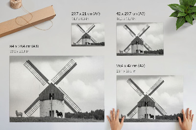 Poster Čiernobiely veterný mlyn na poli s koňmi