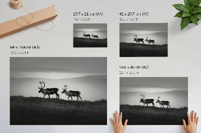 Retro plagát Minimalistická kompozícia so sobmi na kopci