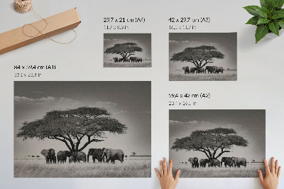 Retro plagát Slony pod stromom v africkej savane