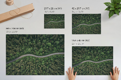 Plagát do izby Zelená lesná serpentínová cesta pokojná atmosféra