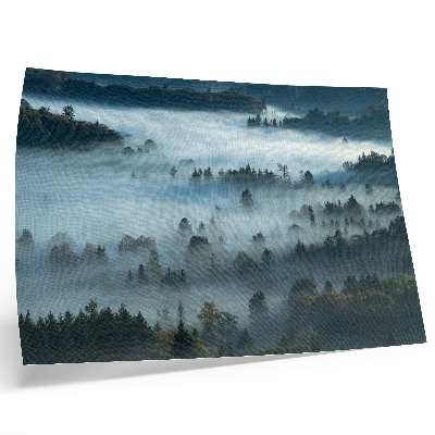 Poster Zelené stromy v hmle, pokojná atmosféra, tlmené farby