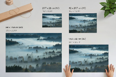 Poster Zelené stromy v hmle, pokojná atmosféra, tlmené farby