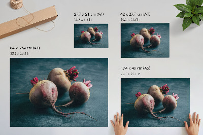 Retro plagát Tri cvikle minimalistická surová krása prírody