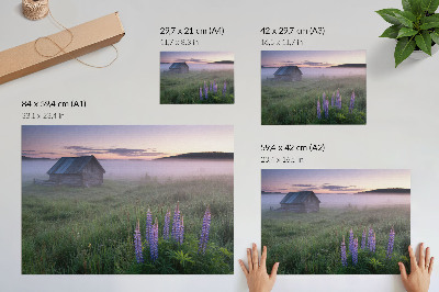 Poster Drevená chata malebná hmla kvety príroda
