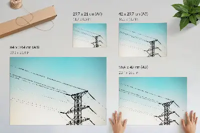 Plagát vtáky na elektrickom vedení na modrej oblohe