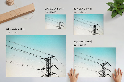 Poster Vtáky na elektrickom vedeniach modrej oblohy