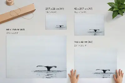 Plagát do izby minimalistický motív veľrybieho chvosta nad vodnou hladinou v štýle harmónie