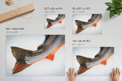 Retro plagát Prirodzené škály a dynamické farby v detailnom zábere