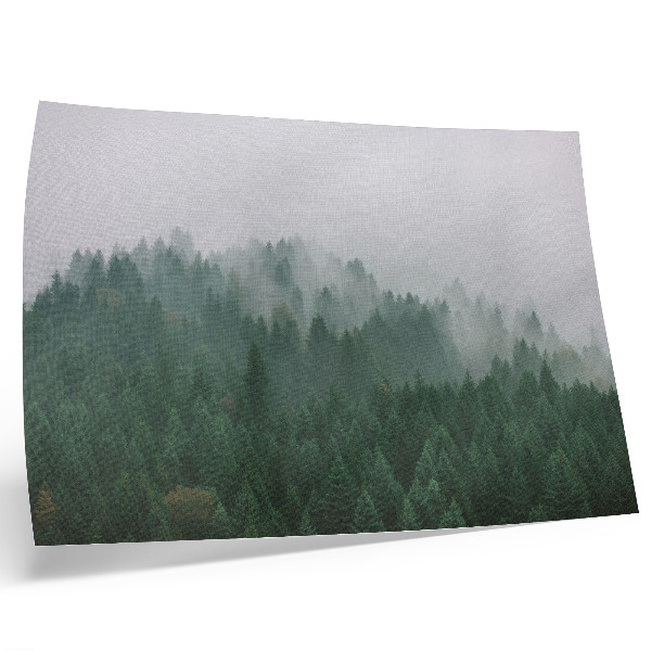 Poster Hmlistá panoráma lesa plného zelene a sivej
