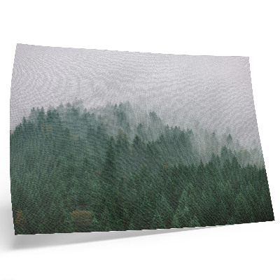 Poster Hmlistá panoráma lesa plného zelene a sivej