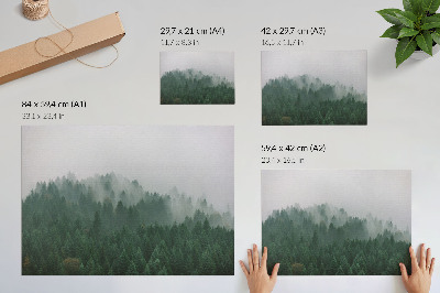 Poster Hmlistá panoráma lesa plného zelene a sivej