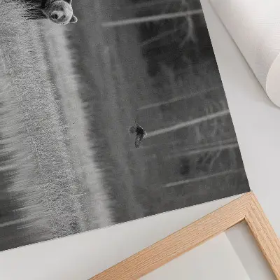 Plagát Medveď pri vode čiernobiela atmosféra do izby