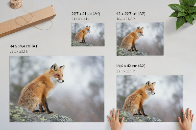 Poster Líška v zimnej scenérii, jemný pokoj prírody