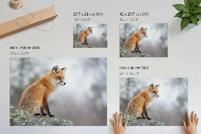 Plagát líška v zimnej scenérii s jemným pokojom prírody