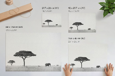 Retro plagát Slon a akácie na savane v jemnom rozmedzí