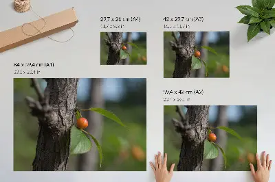 Plagát do izby oranžové ovocie so zelenými listami a hnedou kôrou