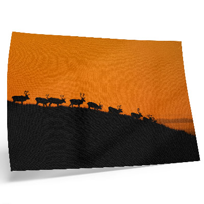 Retro plagát Siluety jeleňov na kopci s oranžovým pozadím