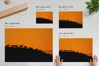 Retro plagát Siluety jeleňov na kopci s oranžovým pozadím