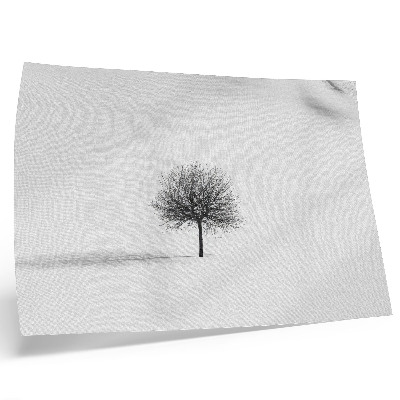 Poster Motív harmónie minimalistickej zimnej stromovej krajiny