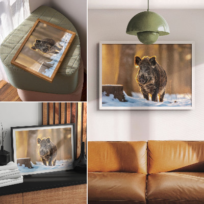 Poster Diviak na zimnom pozadí obklopený slnečným svetlom