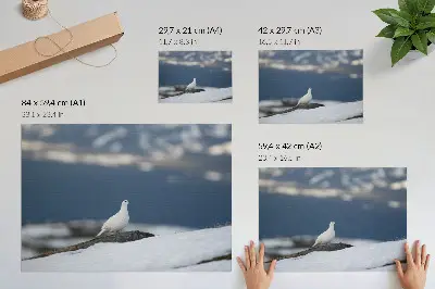 Plagát vták v snehu v zimnej krajine