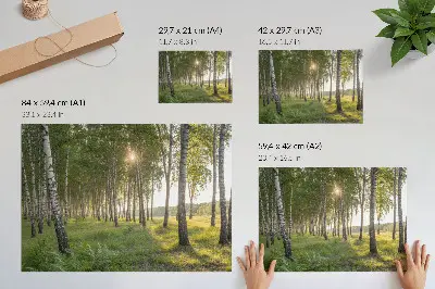 Plagát brezový les so slnečnými lúčmi v symetrickom zelenom prevedení