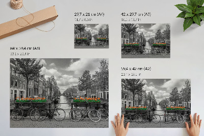 Poster Očarujúci výhľad na kanál, bicykle, tulipány, čiernu a oranžovú