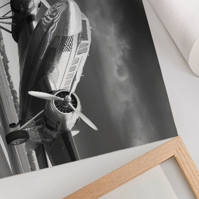 Poster Staré lietadlo v monochromatických farbách