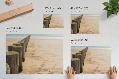 Poster Drevené kolíky pláž more mier príroda