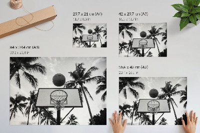 Poster Basketbalový kôš v palmách na čiernobielom pozadí