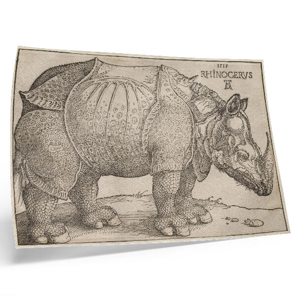 Plagát do izby Nosorožec (1515) od Albrechta Dürera