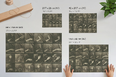 Poster Pohyb zvierat, platňa 535 (1887) od Eadwearda Muybridgea