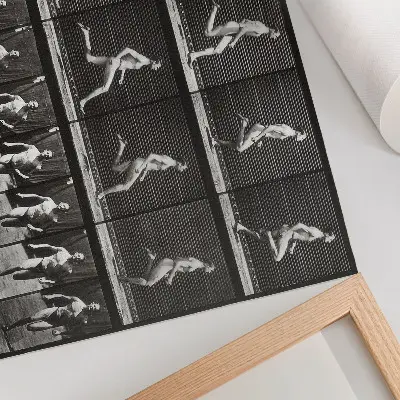Retro plagát obrázok 60 z Pohybu zvierat (1887) od fotografa Eadwearda Muybridgea