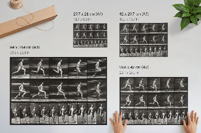 Retro plagát Obrázok 60 z Pohybu zvierat (1887), fotografovaný Eadweardom Muybridgeom