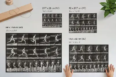 Retro plagát obrázok 60 z Pohybu zvierat (1887) od fotografa Eadwearda Muybridgea