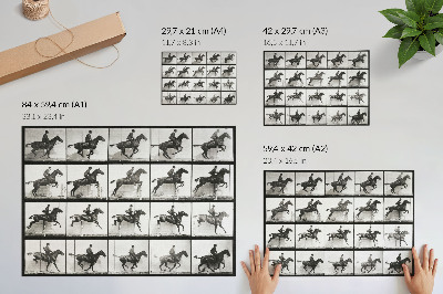 Poster Zvierací pohyb, platňa 640 (1887), jazda na koni, fotografia Eadwearda Muybridgea