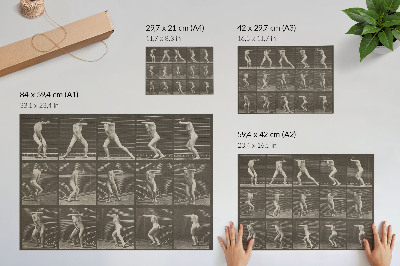 Plagát do izby Číslo tabuľky 73. Prekvapene sa otáča a uteká (1887) od Eadwearda Muybridgea